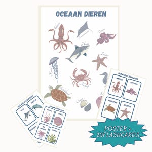 May include: A set of 20 ocean animal flashcards and a poster featuring illustrations of sea creatures in a light blue, gray, and brown color scheme. The flashcards include images of a squid, octopus, sea turtle, starfish, and more. The poster features the text "OCEAAN DIEREN" in blue letters.