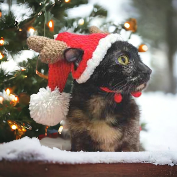 Santa Cat, Hat For Cat Crochet PDF Pattern christmas cat themed cat hat pet holiday costume cat party outfit pet christmıscat accessories