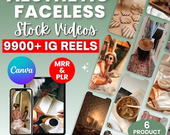 9900+ ästhetische gesichtslose Lagervideos |  Instagram IG TikTok Ready Reels | MRR & PLR Bundle zum Weiterverkaufen