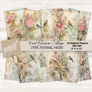 Bird Blossom Collage Flowers & Birds Digital Paper - 10 Files - Junk Journal, Scrapbook, Collage