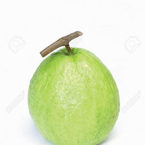 a guava