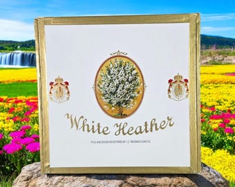 Cigar Box: Empty J.C. Newman White Heather Churchill.  Velvet Lining Available.  Nicaragua