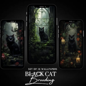 Schwarze Katze || Dark Academia Telefon Hintergründe ||Romantische, Vintage Ästhetische Tapeten-Set || Für Smartphone, Android & iPhone