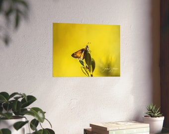 蝶 | ファインアートポスター