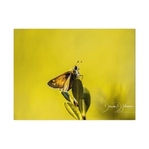 Butterfly | Matte Canvas, Stretched, 0.75&quot;
