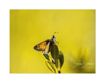 蝶 | マットキャンバス、ストレッチ、0.75"