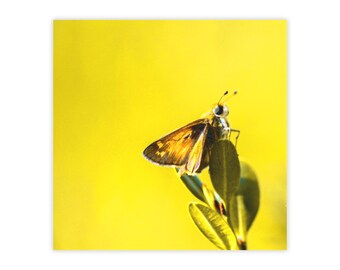 バタフライ | ポスト・イット® ノートパッド