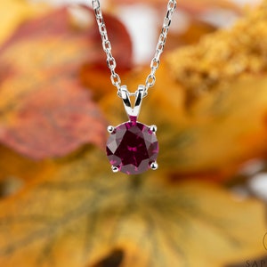 Peut inclure: Un collier pendentif en argent avec une pierre précieuse ronde rouge foncé. La pierre précieuse est sertie dans un sertissage à quatre griffes et est suspendue à une fine chaîne en argent. L'arrière-plan est un mélange flou de couleurs d'automne.