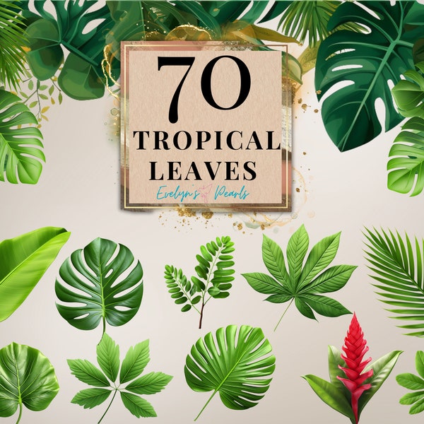 Leaves Clipart Tropical Leaves PNG Nature Clipart Safari Leaves Clipart Monstera Leaf PNG Safari Decor | Commercial Use Clipart Transparent