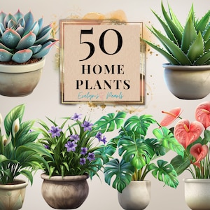 Planten clipart Home planten png natuur clipart cactus plant PNG potplant clipart planner png bladeren | Clipart transparant voor commercieel gebruik
