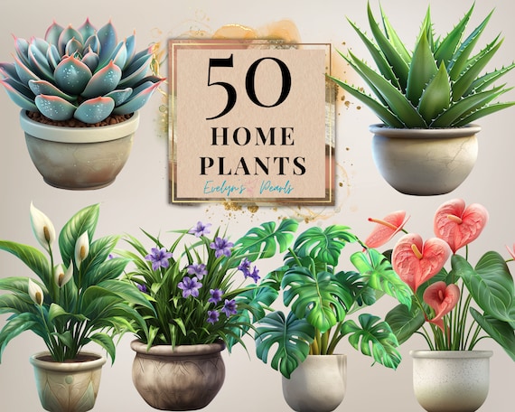 Plants Clipart Home Plants PNG Nature Clipart Cactus Plant PNG Potted plant Clipart Planner PNG Leaves | Commercial Use Clipart Transparent