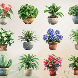 Puede incluir: Una colecci&oacute;n de 12 plantas en maceta de varios estilos y colores, incluyendo un cactus, una palmera, una hortensia y un helecho. Las plantas est&aacute;n todas en macetas de diferentes tama&ntilde;os y est&aacute;n dispuestas en una cuadr&iacute;cula.
