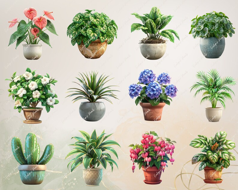 Puede incluir: Una colecci&oacute;n de 12 plantas en maceta de varios estilos y colores, incluyendo un cactus, una palmera, una hortensia y un helecho. Las plantas est&aacute;n todas en macetas de diferentes tama&ntilde;os y est&aacute;n dispuestas en una cuadr&iacute;cula.