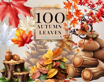 Autumn Leaves Clipart Bundle Fall Clipart Thanksgiving Decor PNG Seasonal Decor Clipart Leaf PNG Fall | Commercial Use Clipart Transparent