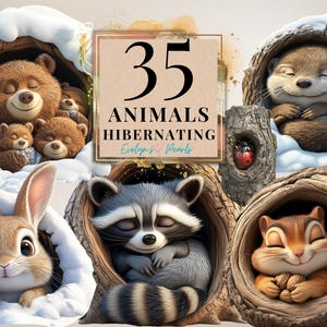 Animais de Inverno Clipart Animal Hibernando PNG Animal Dormindo Clipart Inverno Clipart Decoração Sazonal PNG | Clipart de Uso Comercial Transparente