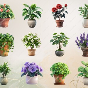 Puede incluir: Surtido de plantas en maceta, que incluye una planta verde de hoja, una planta de flor blanca, un rosal rojo, una planta de lavanda, una planta verde de hoja con una maceta blanca, una planta verde de hoja con una maceta marr&oacute;n, una planta verde de hoja con una maceta marr&oacute;n, una planta verde de hoja con una maceta marr&oacute;n, una planta de flor morada con una maceta blanca y una planta verde de hoja con una maceta marr&oacute;n.
