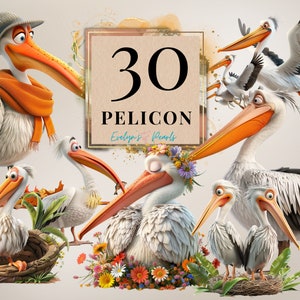 Pelikan Clipart PNG Pelikan Clipart Küstenvogel Clipart Süßer Vogel Cartoon Clipart Kinder PNG Vogel Clipart Tier | Kommerzielle Nutzung Clipart Transparent