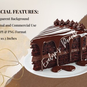May include: A slice of chocolate cake with chocolate frosting and a drizzle of chocolate sauce. The cake is on a white plate. The image is 10.3 inches by 10.3 inches and 300 DPI.