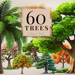Boom clipart bos boom png lente clipart herfst png winter clipart kersenbloesem boom clipart natuur | Clipart transparant voor commercieel gebruik