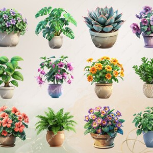 Puede incluir: Una colecci&oacute;n de 12 plantas en maceta con diversas flores y follaje. Las plantas est&aacute;n en macetas de diferentes colores y est&aacute;n dispuestas en una cuadr&iacute;cula. El fondo es de color beige claro.