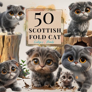 Cat Clipart Scottish Fold Cat PNG Cat Lovers Clipart Cute Animal PNG Playing Clipart Children Book  | Commercial Use Clipart Transparent