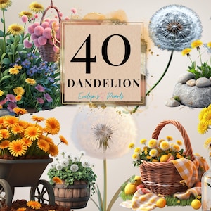 Blumen Clipart Löwenzahn Blume PNG Frühling Clipart Floral Clipart Saisonale Clipart Garten PNG Pflanzen | Kommerzielle Nutzung Clipart Transparent