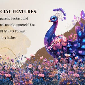 May include: A digital illustration of a peacock with a vibrant display of blue, purple, and pink feathers. The image includes text that reads "SPECIAL FEATURES: Transparent Background, Personal and Commercial Use, 300 DPI & PNG Format, 10.3 x 10.3 Inches."