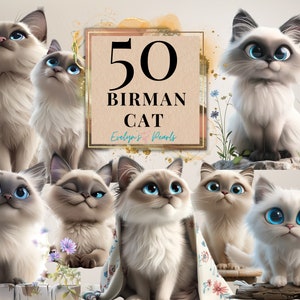 Clipart chat birman PNG chat amoureux des cliparts mignon animal PNG jouer Clipart Clipart livre enfants | Clipart à usage commercial transparent
