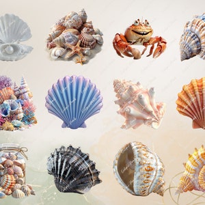 Pu&ograve; includere: Una collezione di conchiglie di varie forme, dimensioni e colori. Alcune conchiglie sono aperte, rivelando l'interno madreperlaceo. Altre sono chiuse, mostrando intricati motivi e trame. C'&egrave; anche una piccola statuetta di granchio e un barattolo pieno di conchiglie.
