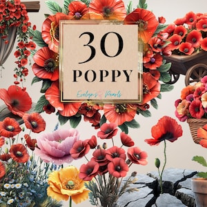 Clipart pavot fleur PNG Clipart printemps Clipart floral Clipart saisonniers PNG Clipart plantes de jardin | Clipart à usage commercial transparent