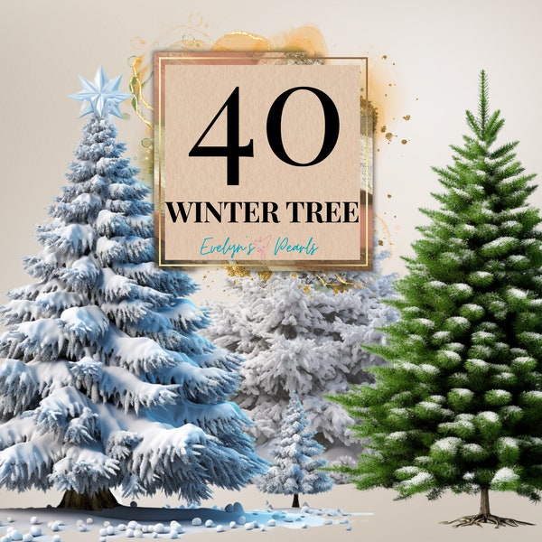 Winter Tree Clipart Snow Covered Tree Clipart Winter Forest Clipart Festive Decor Clipart Tree PNG | Commercial Use Clipart Transparent