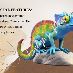 May include: A colorful chameleon with blue, green, yellow, orange, and purple scales sits on a gray rock. The chameleon has a large, bright yellow eye. The background is transparent.