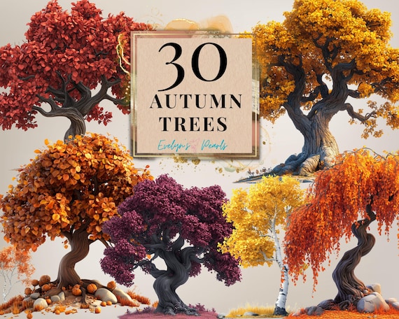 Tree Clipart Autumn Trees PNG Fall Clipart Seasonal Decor PNG Fall Leaves Clipart Plants PNG Maple Tree | Commercial Use Clipart Transparent