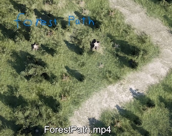 Forest Path Animated battle map Ultra HD