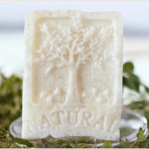 Puede incluir: Una pastilla de jabón rectangular blanquecina con un diseño de árbol y la palabra "NATURA" grabada. El jabón está sobre un plato transparente, rodeado de follaje verde.