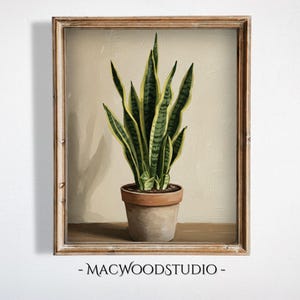 May include: A framed art print depicting a snake plant in a terracotta pot. The plant's leaves are green with yellow stripes. The artwork is set against a neutral backdrop and includes the text "- MACWOODSTUDIO -" at the bottom.