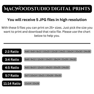 Op de afbeelding: Een grafiek met verschillende beeldverhoudingen voor digitale prints. De grafiek toont de verhoudingen 2:3, 3:4, 4:5, 5:7 en 11:14. Elke verhouding wordt gevolgd door een lijst met gebruikelijke afdrukformaten in inches.