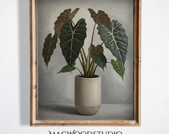 May include: A framed botanical print featuring a potted plant with large, dark green leaves and a light brown pot. The artwork has a neutral color palette with a light gray background and a wooden frame. The text "- MACWOODSTUDIO -" is at the bottom.