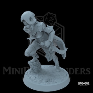 Elf assassin by Dinoworld | Roleplaying Gifts | Tabletop Playing | Gifts for Girls | Female Elf | Elf Rogue | Female Rogue | Rogue assasin