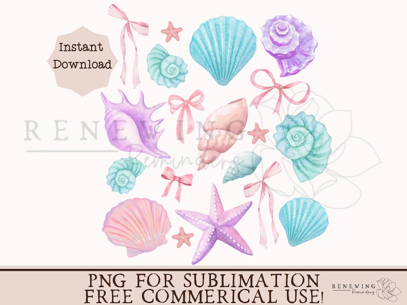 coquette seashell png