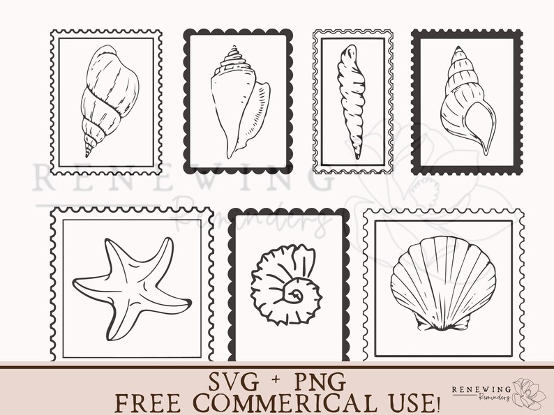 May include: Black and white line art illustrations of various seashells and a starfish, each within a postage stamp-style frame. The bottom of the image includes the text "SVG + PNG FREE COMMERCIAL USE!"