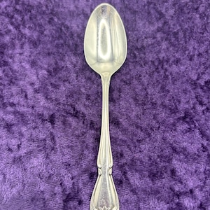 May include: A silver spoon with a rounded bowl and a long, slender handle. The handle features decorative floral and scroll detailing. The spoon is set against a purple velvet background.