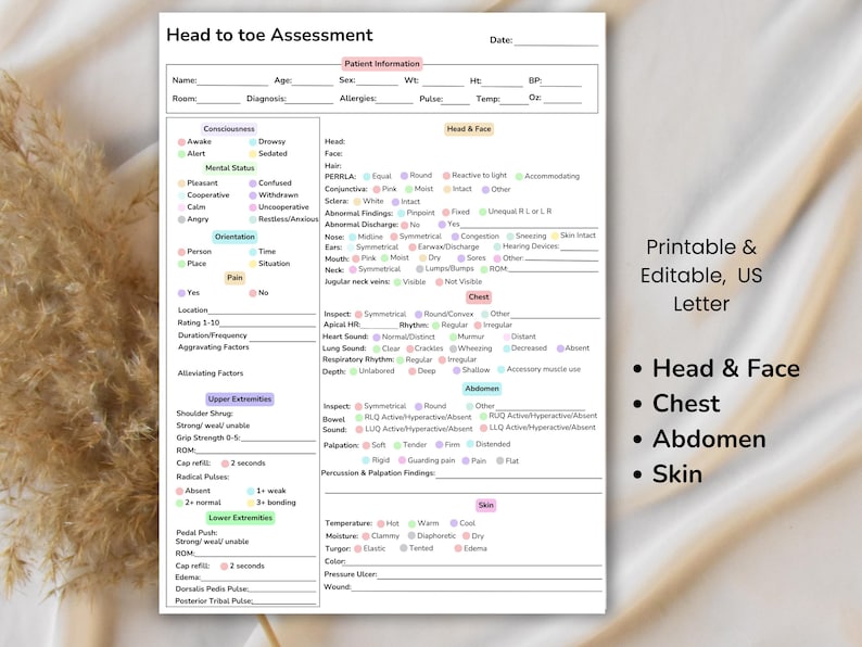 May include: A printable and editable US Letter head-to-toe assessment form. The form includes sections for patient information, consciousness, orientation, and physical assessments of the head, face, chest, abdomen, and skin.