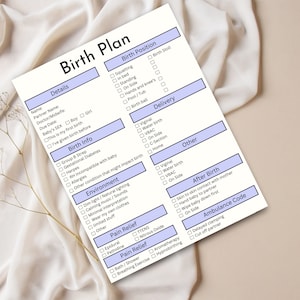 May include: A printed birth plan checklist with sections for details, birth info, environment, pain relief, birth position, delivery, other, after birth, and ambulance code. The document is on a white background with blue accents.