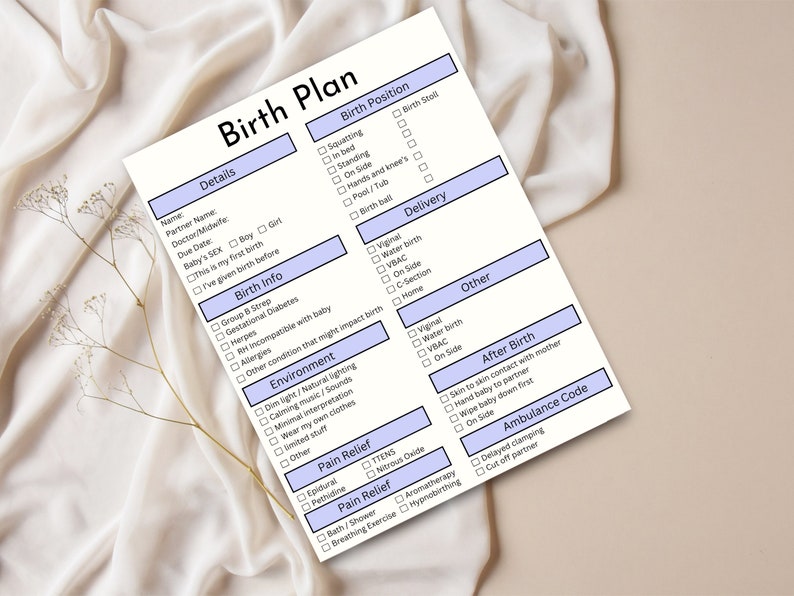 May include: A printed birth plan checklist with sections for details, birth info, environment, pain relief, birth position, delivery, other, after birth, and ambulance code. The document is on a white background with blue accents.