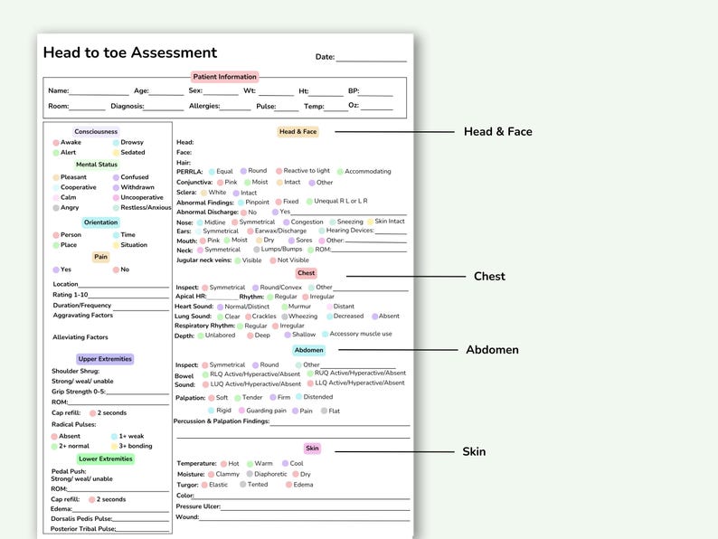 May include: A white medical assessment form titled "Head to Toe Assessment" with sections for patient information, head & face, chest, abdomen, and skin. Includes checkboxes and lines for detailed notes.