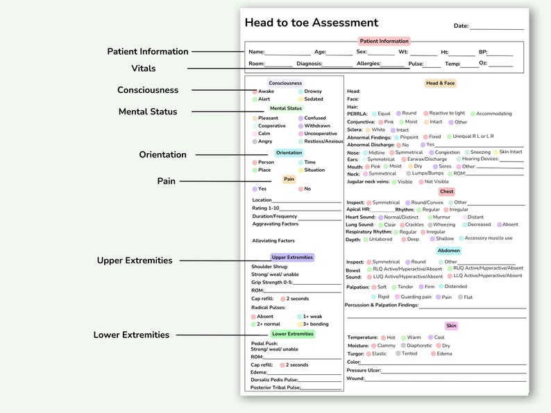 May include: A white medical assessment form titled "Head to toe Assessment" with sections for patient information, vitals, consciousness, mental status, orientation, pain, upper and lower extremities. Includes checkboxes and fill-in areas.
