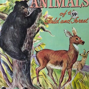 Mid Century Vintage Children&#39;s Book - Animals of the Field and Forest by Mina Lewiton (A Whitman Learn About Book, 1961)