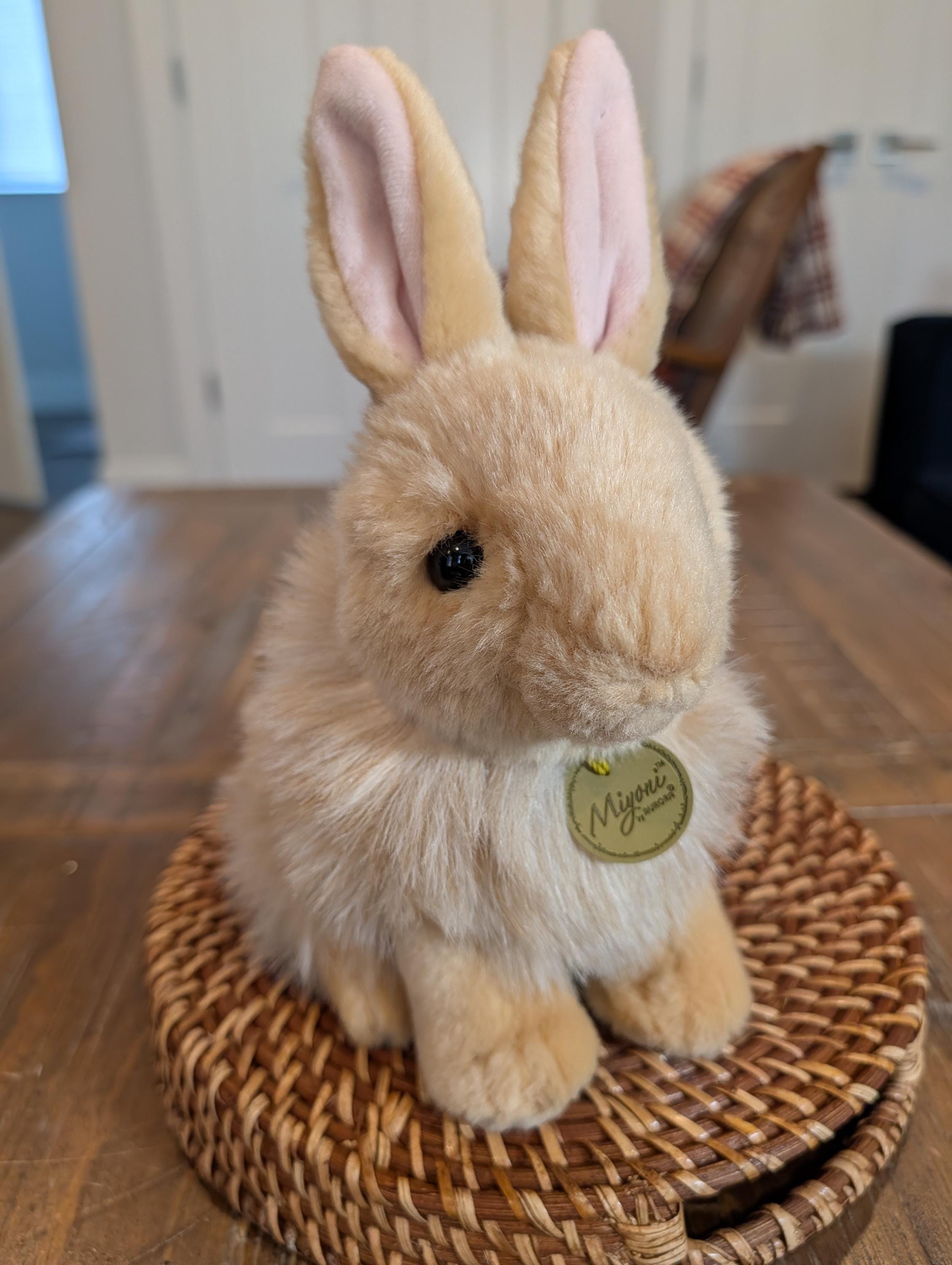 Aurora Miyoni 10” Realistic Angora Rabbit - Sitting Upright - New