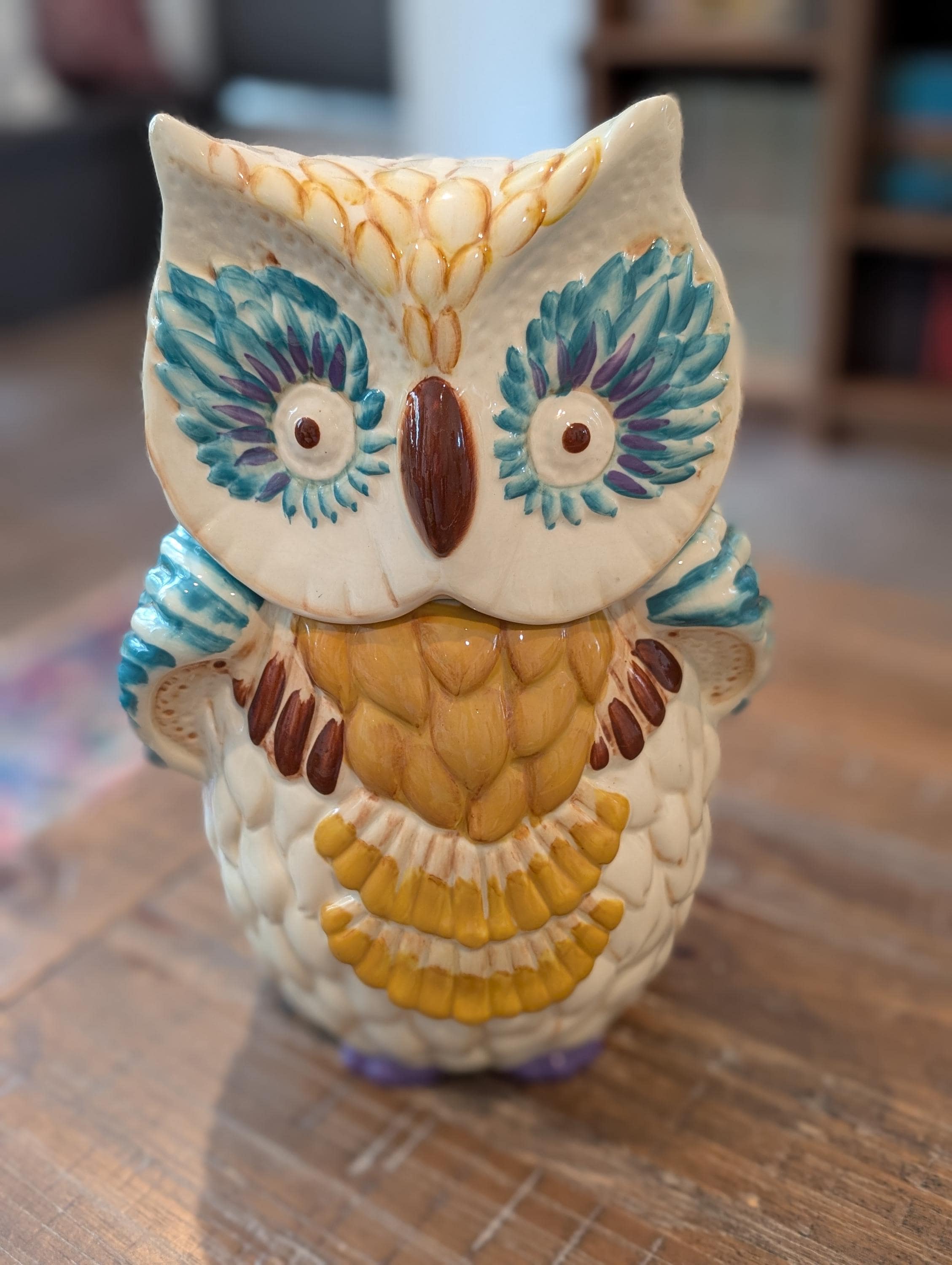 Anthropologie Wide Eyed Owl Cookie Jar // Hand Painted // Hard to